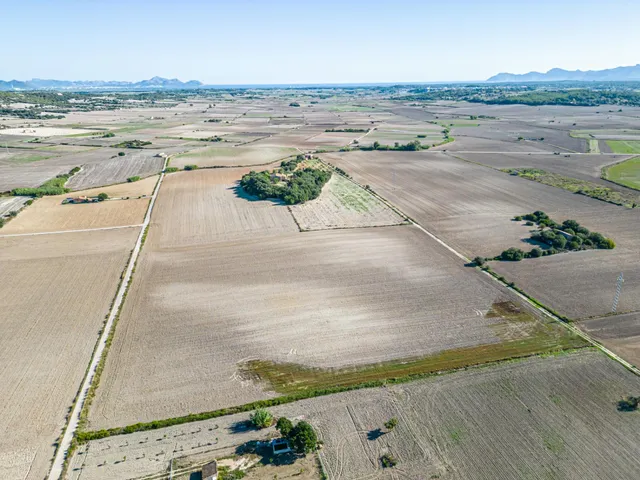 Terreno de 42.618m2 con Proyecto Basico y Ejecutivo Aprobados, mas Licencia para casa de 204 m2 — 9