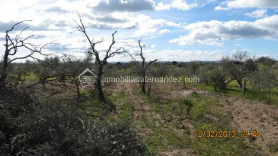 Se vende Parcela de 8.200 m2 vallado, en Arroyo de la Luz — 8