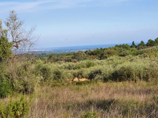 Bonita finca con vistas al mar, ideal para construir una viv - foto 2