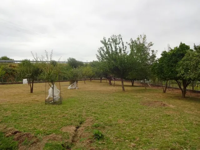 SE VENDE CASA SEÑORIAL PAREADA DE PIEDRA REFORMADA Y EN PERFECTO ESTADO EN PADRON — 47