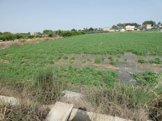 ++Terreno no urbano en Alguazas zona El Paraje++, 1513 m - foto 4