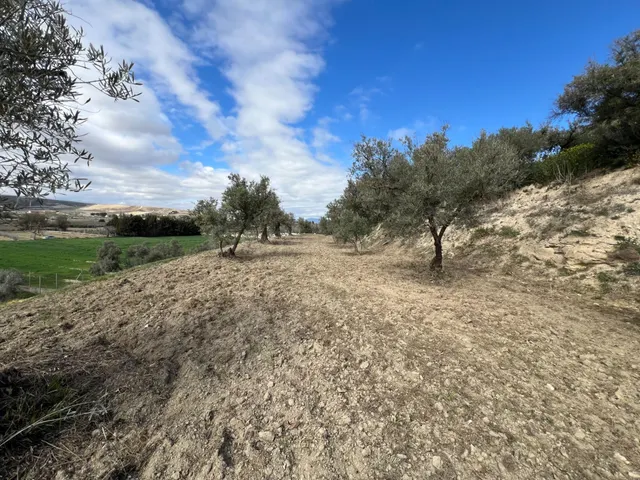 Un rincón de paz y futuro en Alhendín (SOLAR URBANIZABLE) — 3