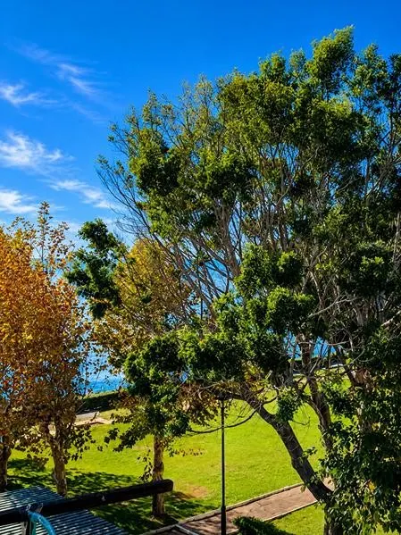 EN VENTA ESTUDIO DE 34 M² TOTALMENTE REFORMADO — 6