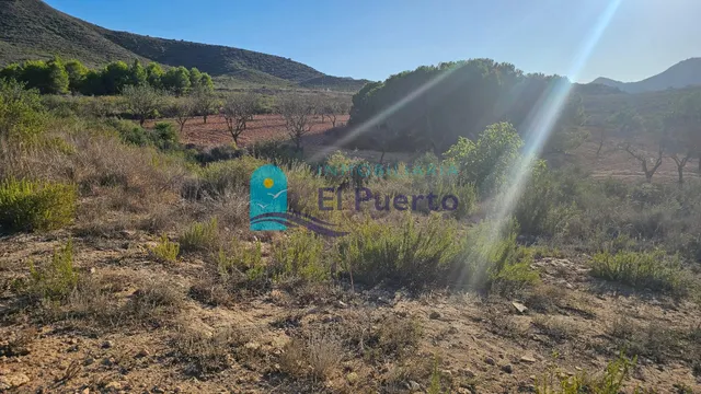 GRAN TERRENO JUNTO A LOS ALTOS DE LAS PALAS – REF. 2112 — 13