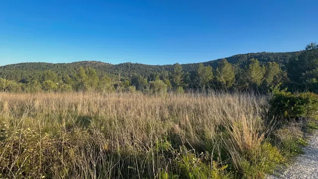 Parcela en venta en Jalón con vistas abiertas y gran potenci - foto 3