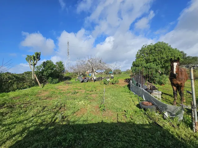 Bungalow 2 habitaciones 105m² en venta - Costa Del Sol — 34