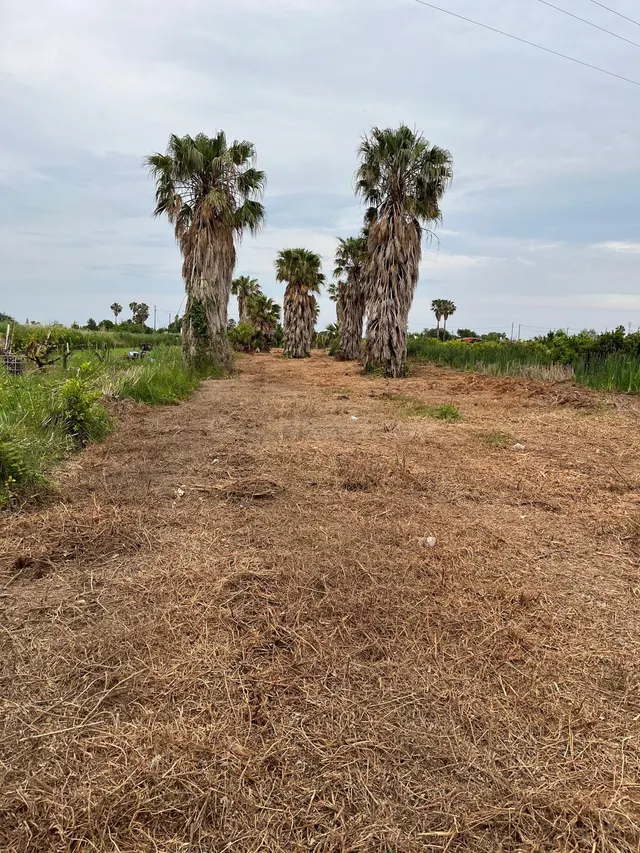 Parcela VENTA en Castellón, zona Camino La Plana, 3676m2 ter - foto 4