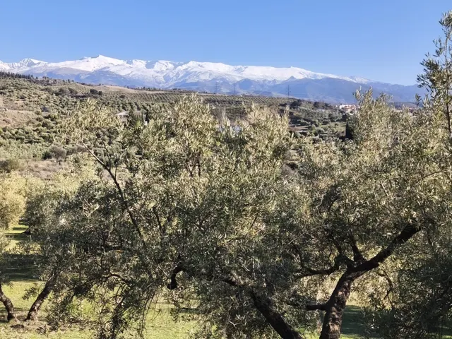 Terreno rural en venta - Sierra de huetor y la alfaguara — 14
