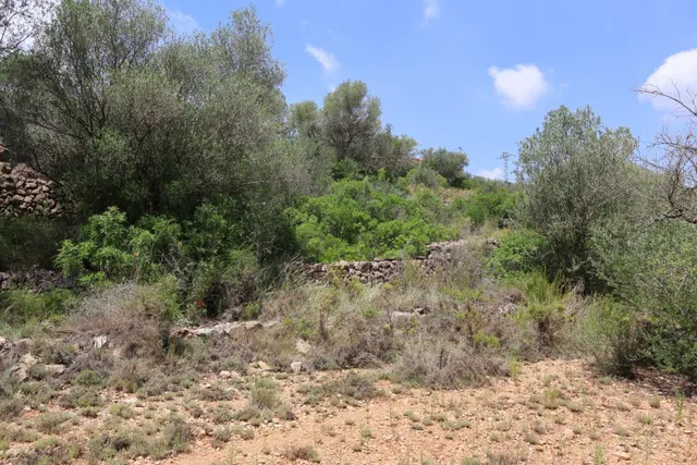 MASIA RUSTICA EN DOS HECTAREAS DE TERRENO ZONA POU DE BECA — 39