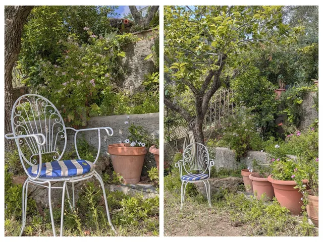 El encanto de Serra Brava: casa con jardín, terrazas y acceso independiente a la planta superior — 33