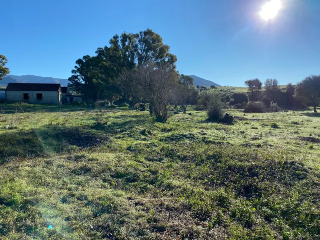 Casa de campo para reformar — 19