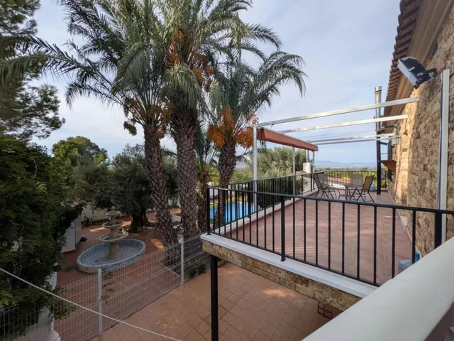 ESPECTACULAR FINCA CON CASA, PISCINA PRIVADA Y PLANTACIÓN DE LIMONEROS EN JACARILLA — 12