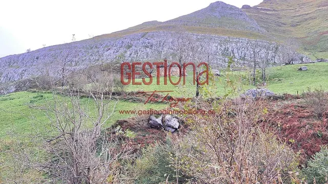 CABAÑA DE PIEDRA EN SOBA. VALDICCON — 32