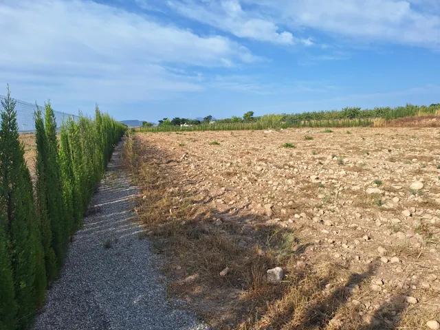 ¡Parcela edificable de 16.964 m2, vallada, con camino perimetral, agua de riego e informe urbanístico disponible, a solo 5 minutos de Pinoso! — 19