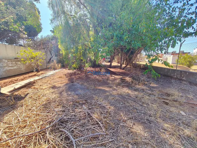 🌳 523 M2 DE PARCELA URBANA | POSIBILIDAD DE DESARROLLO — 3