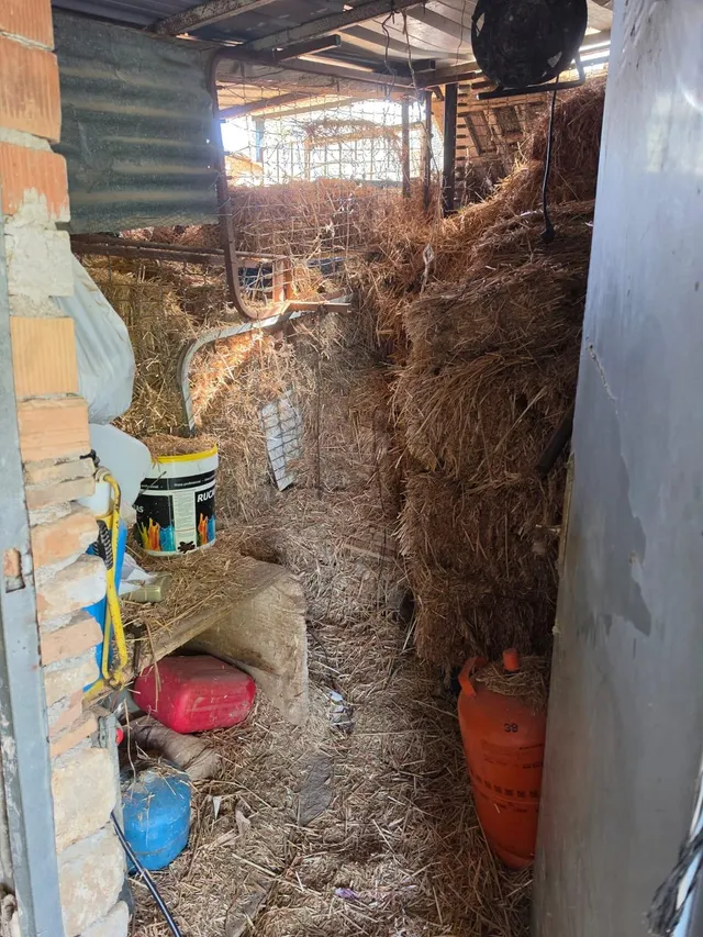 CASA CAMPO CON TERRENO DE 1 HECTAREA EN TOTALAN — 19