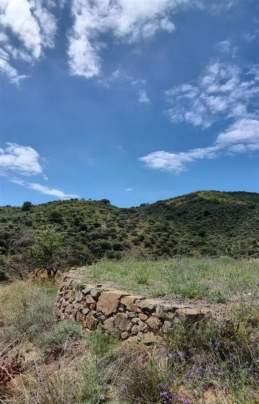 Terreno rústico de 11835 m² en Marbella para cultivo o inversión — 15