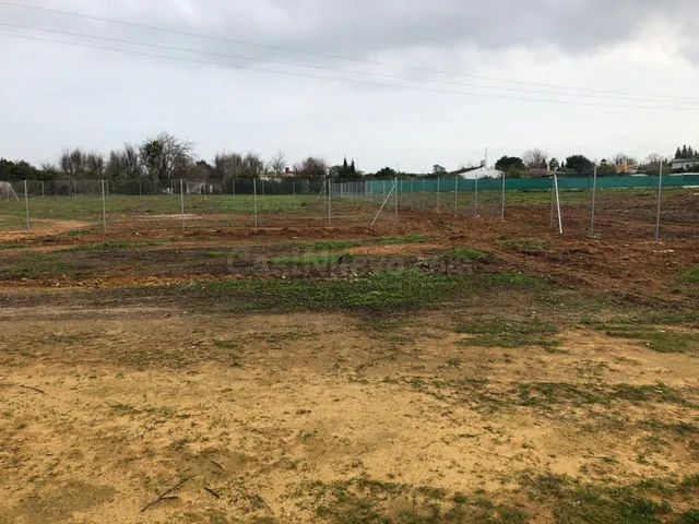 PARCELA URBANA DE 16000 m2 - foto 2