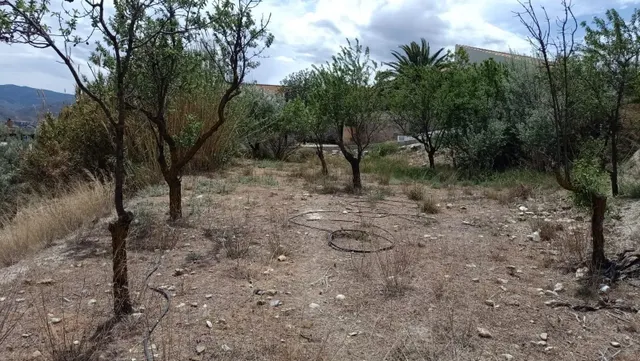 LÚCAR ( ALMERÍA ), TERRENO URBANO CON AGUA . — 5