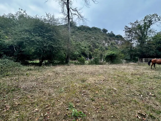 FINCA EDIFICABLE A 10 KM DE LA PLAYA — 9