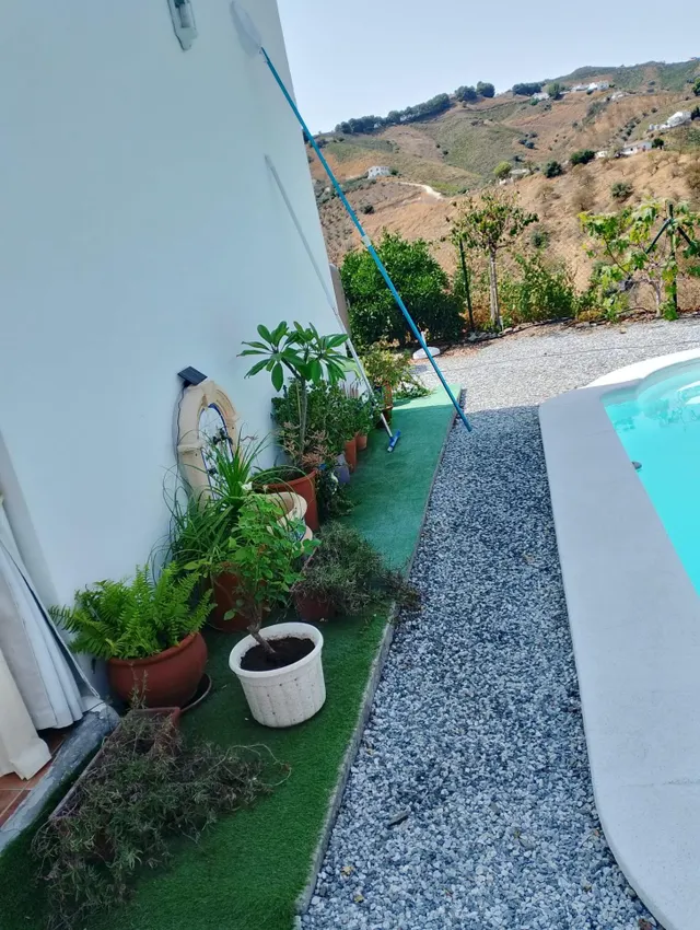 Casa en venta en el borge con parcela de unos 4000 mts con piscina — 20