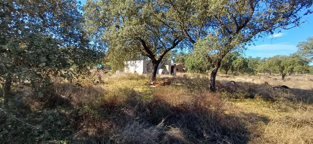 PARCELA EN DS DE BOTOA — 20