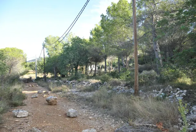 Parcela Rústica en el municipio de Cubelles, 5.560 mts2 Corral d'en Cona — 17