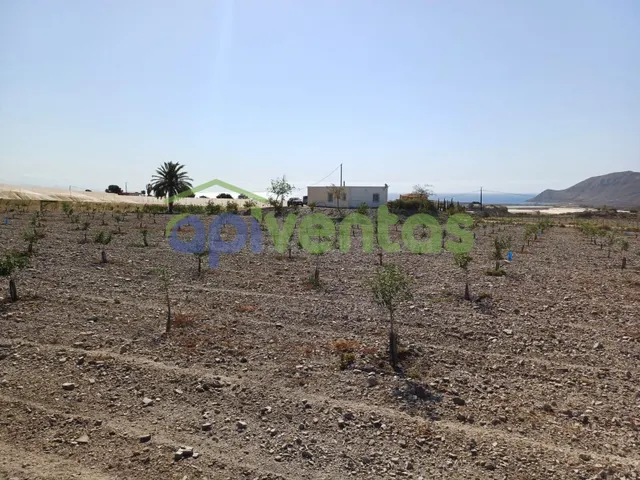 6 Hec de terreno con nave-almacén , invernaderos y cabezal d - foto 2