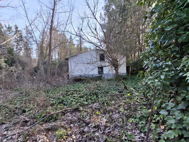 FINCA CON VIVIENDA PARA ALQUILER - foto 3