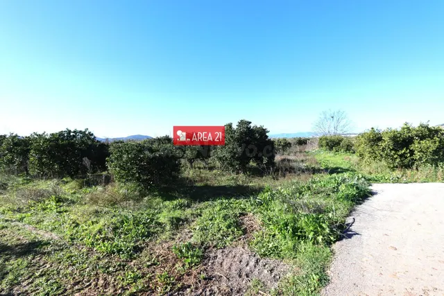 Campo para Cultivo de 5528 m2 en Benaguacil muy cerca a la P - foto 2