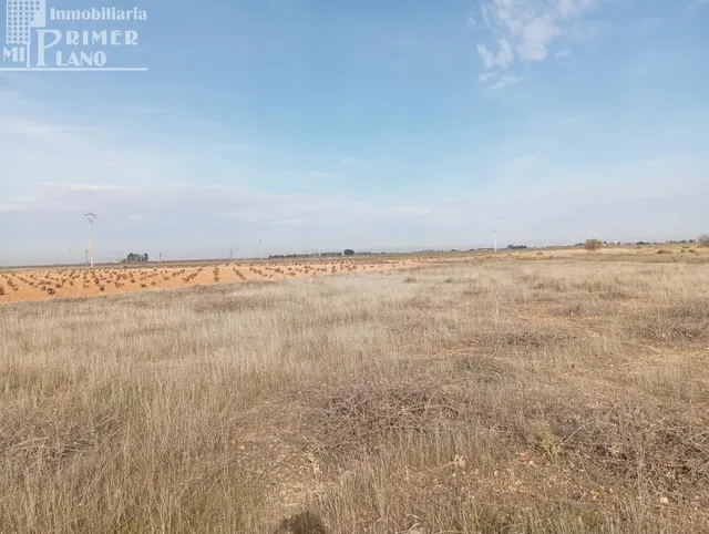 Parcela rústica de secano en Socuéllamos – Zona Carretera To - foto 2