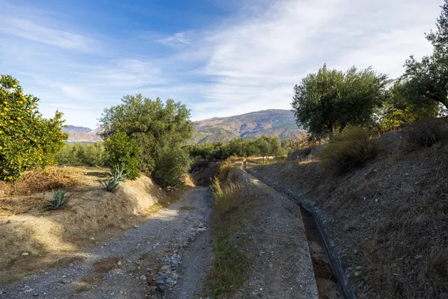Finca rústica en venta en Pinos del Valle (Valle de Lecrín) — 6