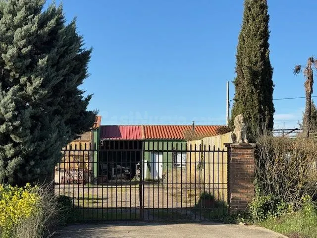 FINCA CON POZO, CONTRUCCIONES Y VIVERO EN LA RECTA DE CORESE - foto 5