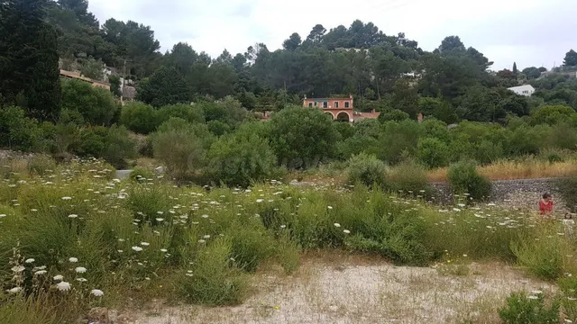 Se vende solar en Galilea con proyecto para vivienda - foto 2