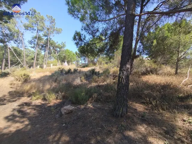 Venta de Parcela Urbana en Esquina - Pinar de la Bota, La Re - foto 5