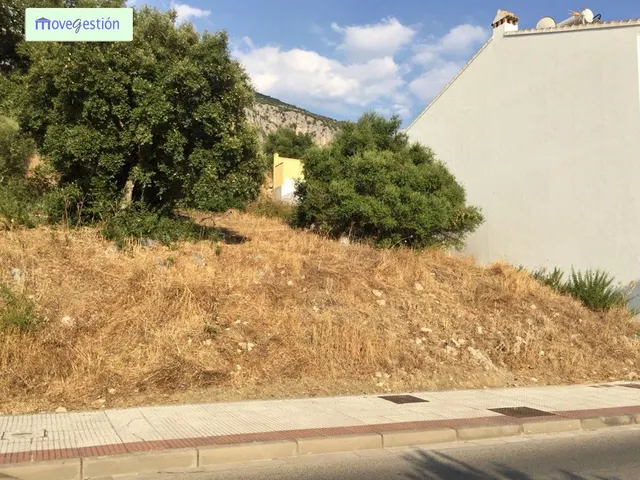 VENTA DE DOS SOLARES ZONA LA VEGA — 3