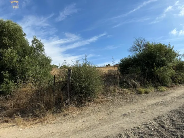 TERRERO RÚSTICO EN ZONA CARRETERA ARCOS-ALGAR — 10