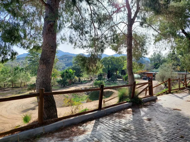 Casa con terreno en zona del Garruchal — 42
