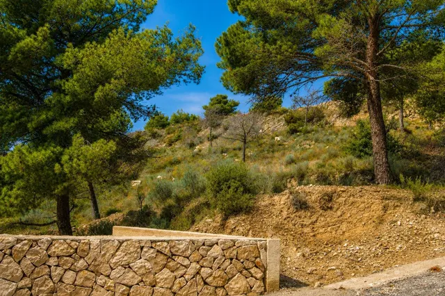 ¡PARCELA URBANA EN LA EMPEDROLA (ALICANTE)! - foto 3