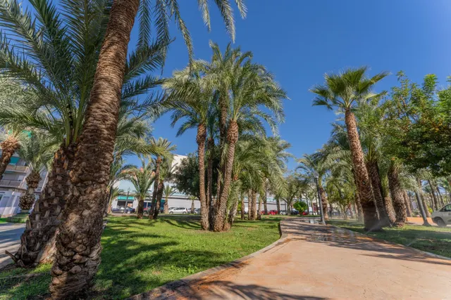 ¡Tu nuevo hogar a estrenar frente al parque en Altabix! — 28