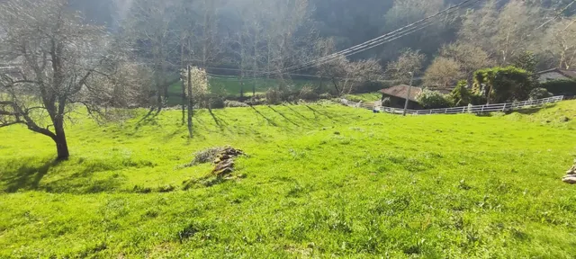 TERRENO URBANO EN BORLEÑA IDEAL PARA VIVIENDA UNIFAMILIAR.- - foto 4