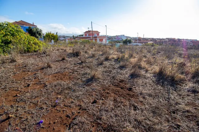 ATENCIÓN INVERSOR ESTA ES TÚ OPORTUNIDAD PARA ADQUIRIR 3 PARCELAS DE TERRENO EN LA CUAL PODRÁS CONST — 32