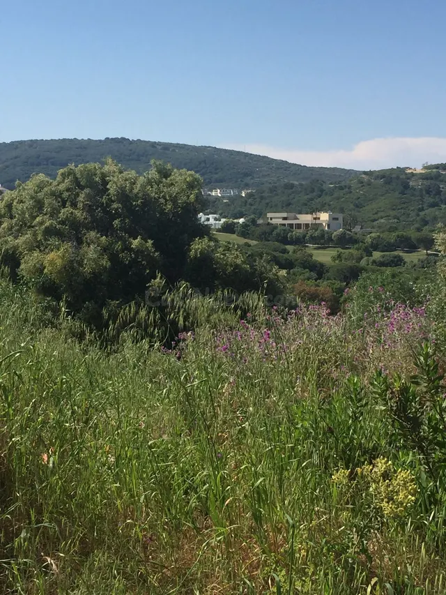 Parcela 1075m² en venta - Sotogrande - Alto - foto 5