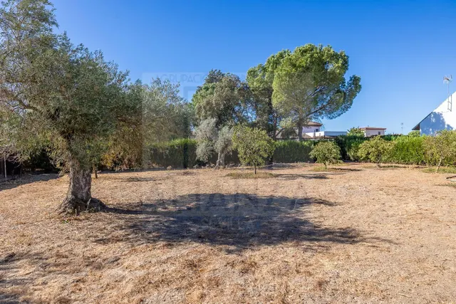 Venta de chalet independiente la urb. los ranchos de guadiamar Sanlúcar la Mayor (Sevilla) — 33