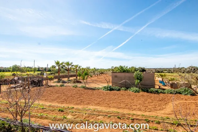 Casa de campo en Ses Salines — 11