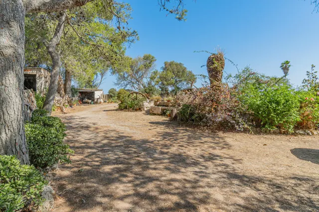 Finca rústica con viñedos y chalet tradicional en Mahón. — 8