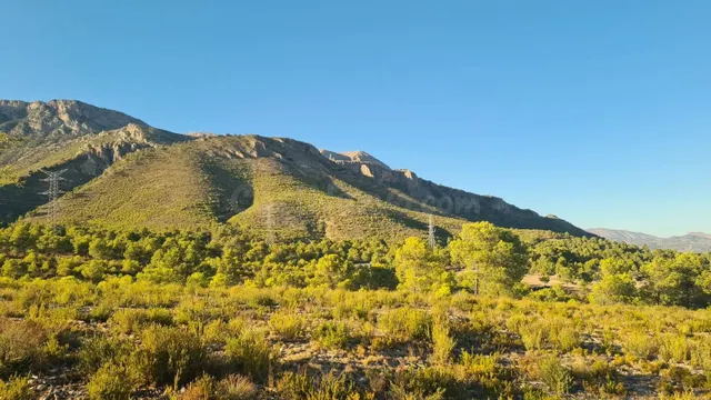 Terreno no urbanizable en venta