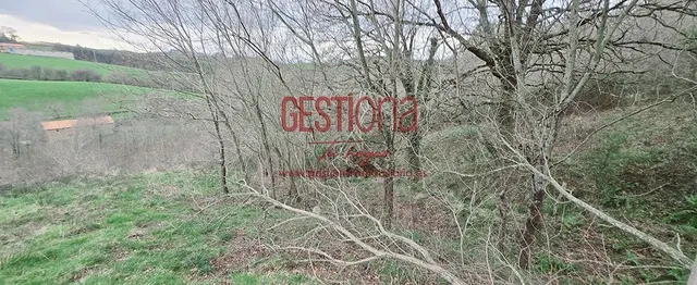 CABAÑA CON ARROYO,  PROYECTO Y CAMBIO DE USO EN LLANOS. PENAGOS — 41