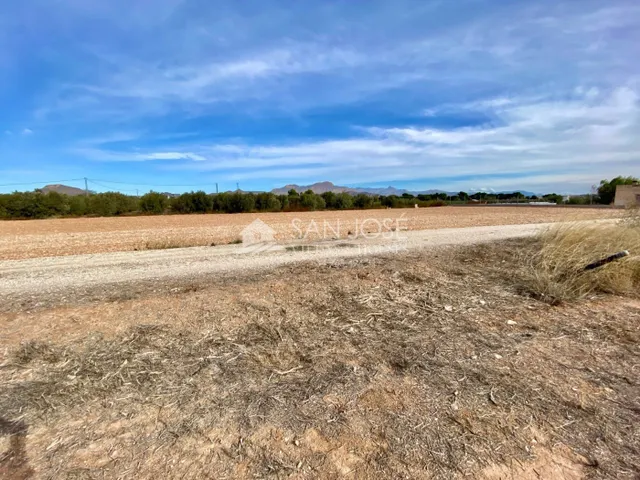 VENTA DE PARCELA EN ASPE EN LA ZONA PARAJE DE LA HORNA - foto 3
