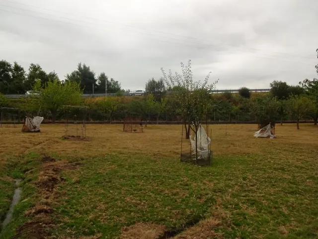 SE VENDE CASA SEÑORIAL PAREADA DE PIEDRA REFORMADA Y EN PERFECTO ESTADO EN PADRON — 42